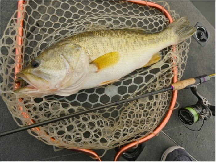 truth ブログ写真 2019/04/26