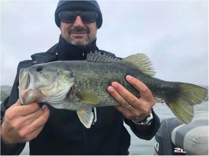 truth  ブログ写真 2019/05/01