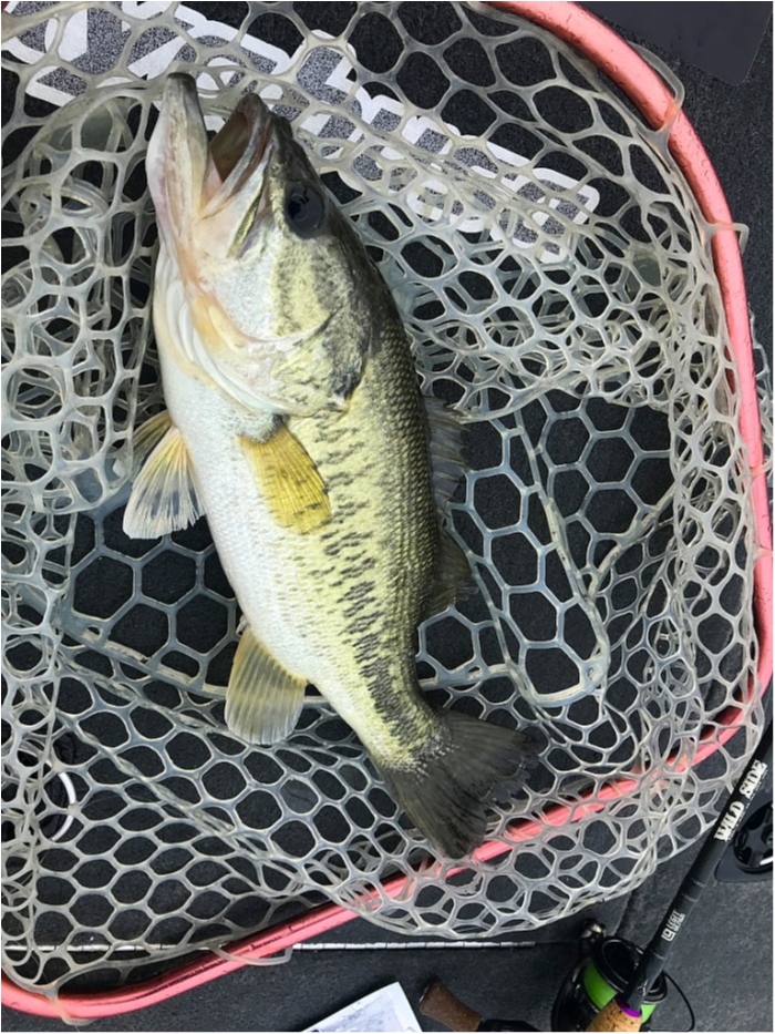 truth  ブログ写真 2019/05/01