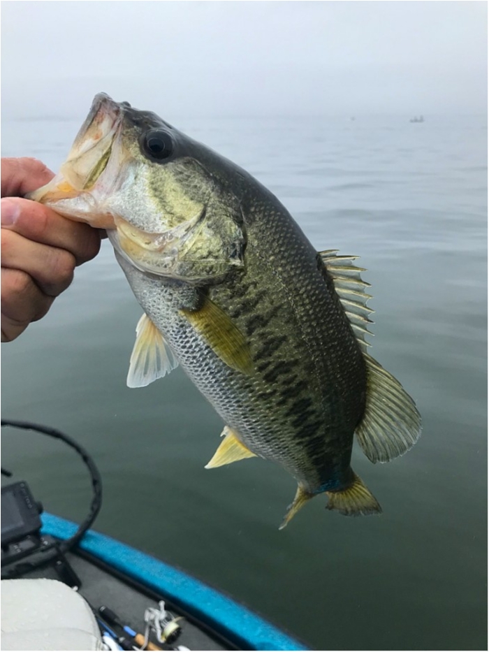 truth  ブログ写真 2019/05/01