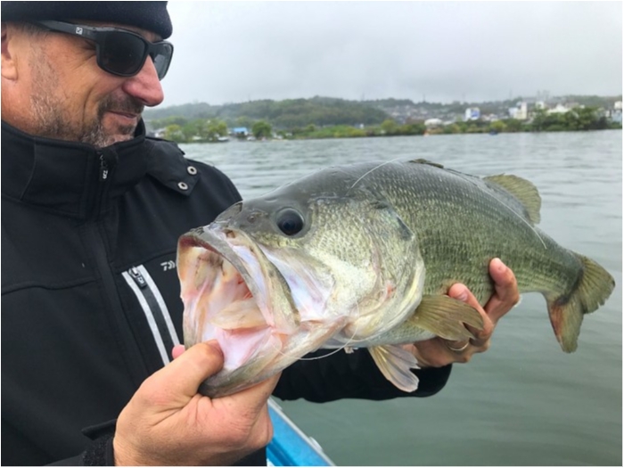 truth  ブログ写真 2019/05/01