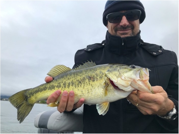 truth  ブログ写真 2019/05/01