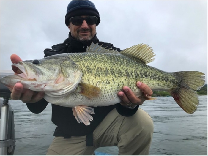 truth  ブログ写真 2019/05/01