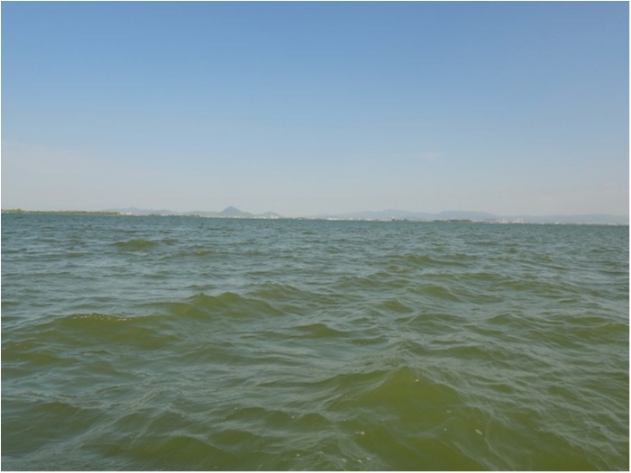 truth  ブログ写真 2019/05/02