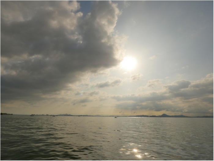 truth  ブログ写真 2019/05/02