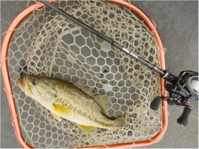 truth  ブログ写真 2019/05/02