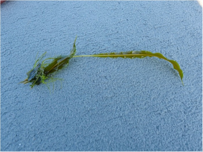 truth  ブログ写真 2019/05/07