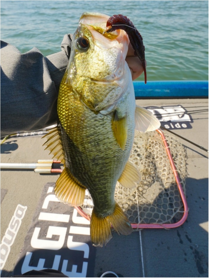 truth  ブログ写真 2019/05/07