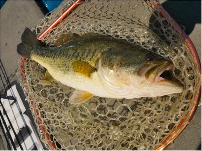 truth  ブログ写真 2019/05/07