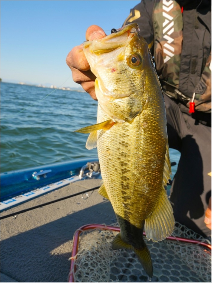 truth  ブログ写真 2019/05/07