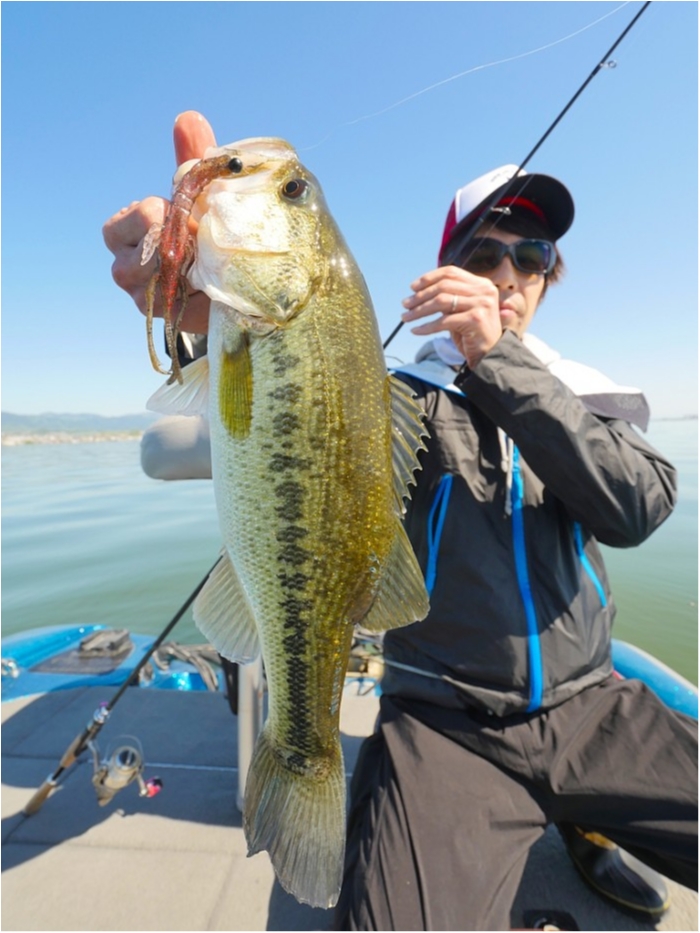 truth  ブログ写真 2019/05/08