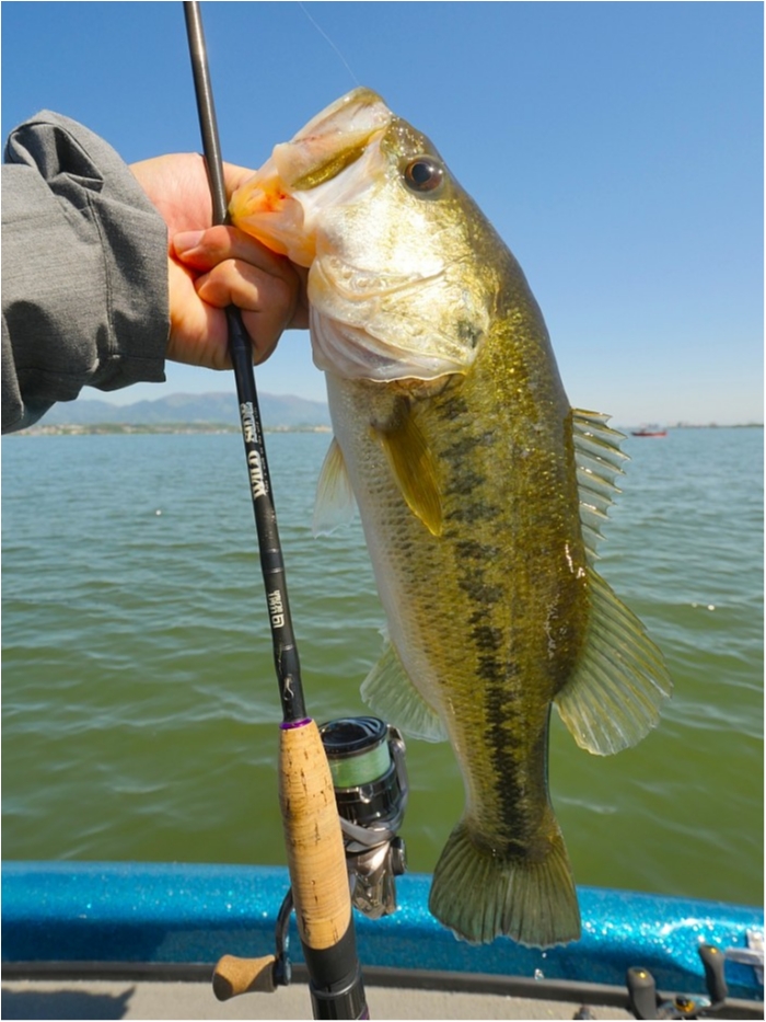 truth  ブログ写真 2019/05/08