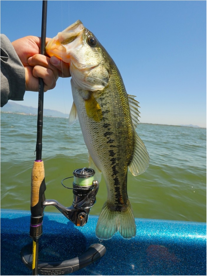 truth  ブログ写真 2019/05/08