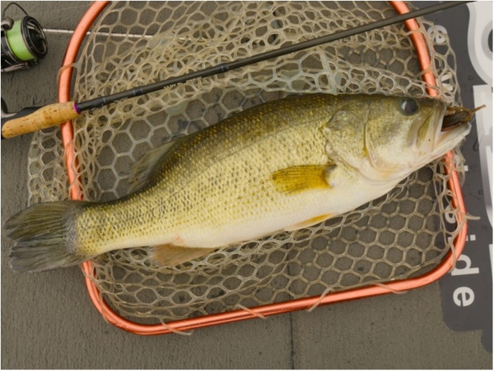 truth  ブログ写真 2019/05/09