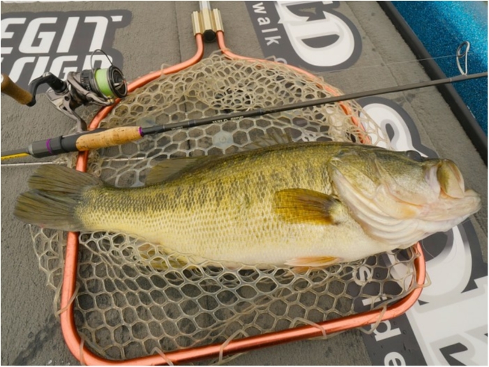 truth  ブログ写真 2019/05/09