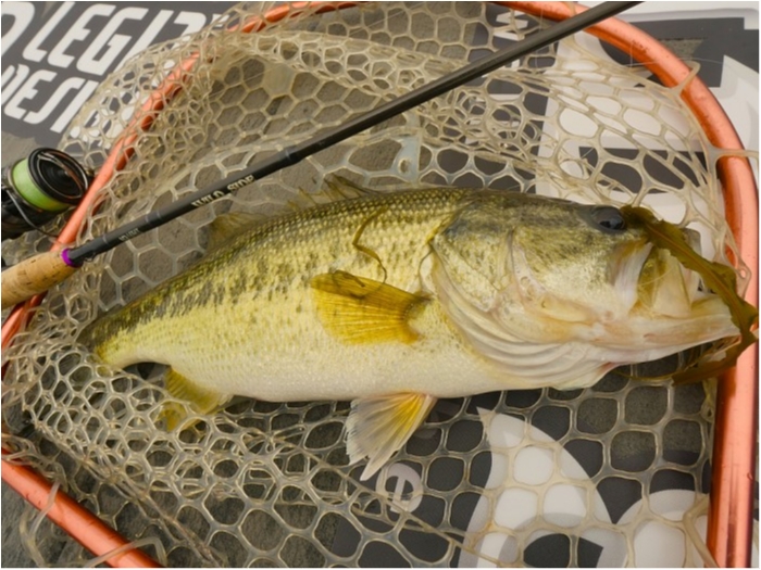 truth  ブログ写真 2019/05/09