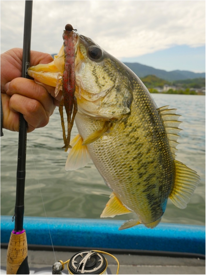 truth  ブログ写真 2019/05/09