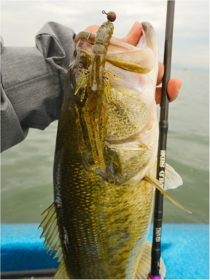 truth  ブログ写真 2019/05/09