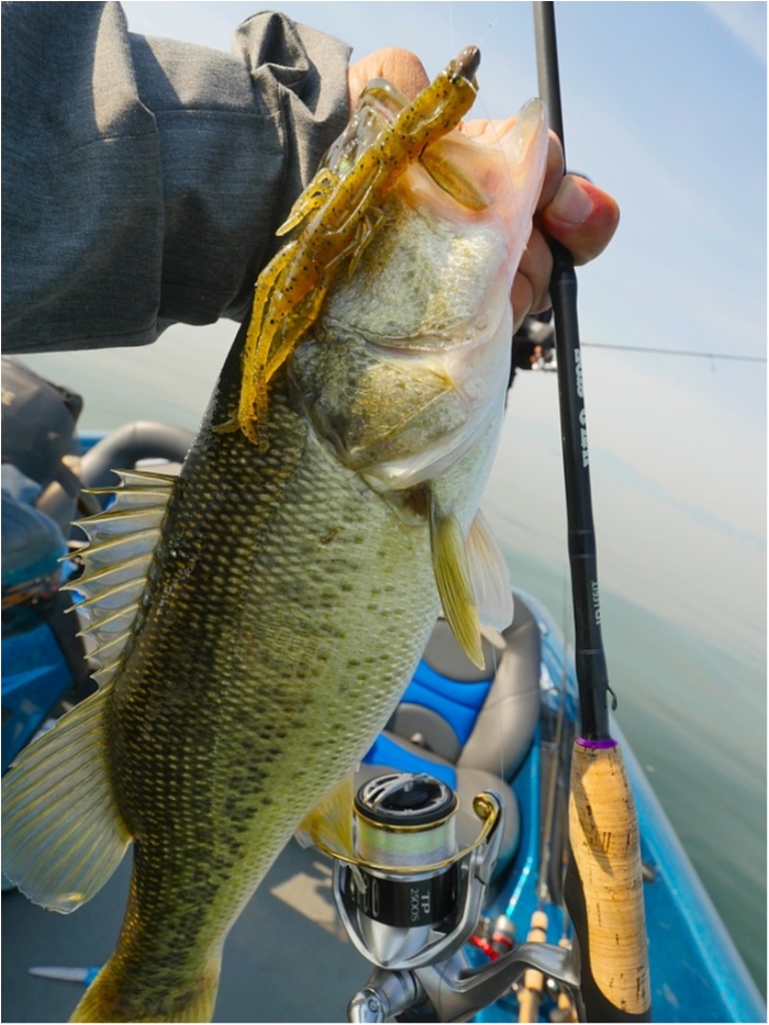 truth  ブログ写真 2019/05/10