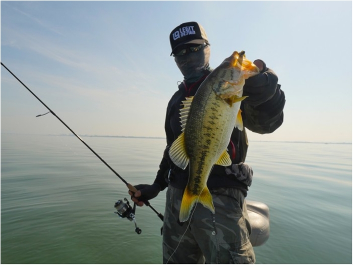 truth  ブログ写真 2019/05/10