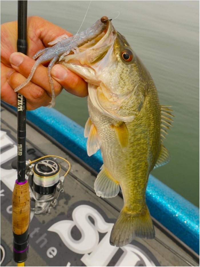 truth  ブログ写真 2019/05/10