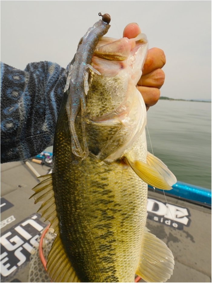 truth  ブログ写真 2019/05/10