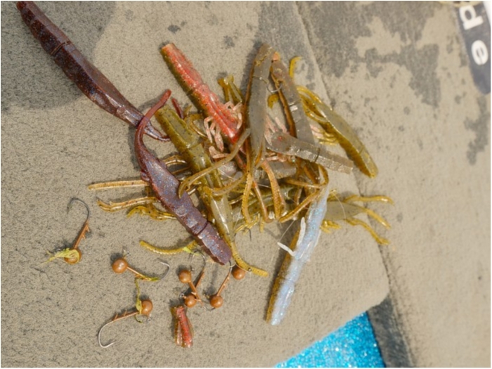 truth  ブログ写真 2019/05/10