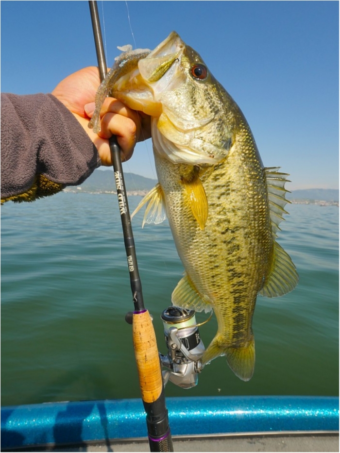 truth  ブログ写真 2019/05/11