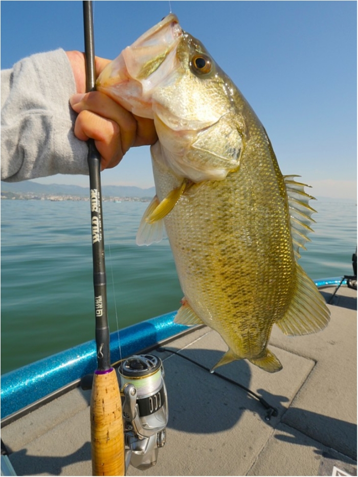 truth  ブログ写真 2019/05/11