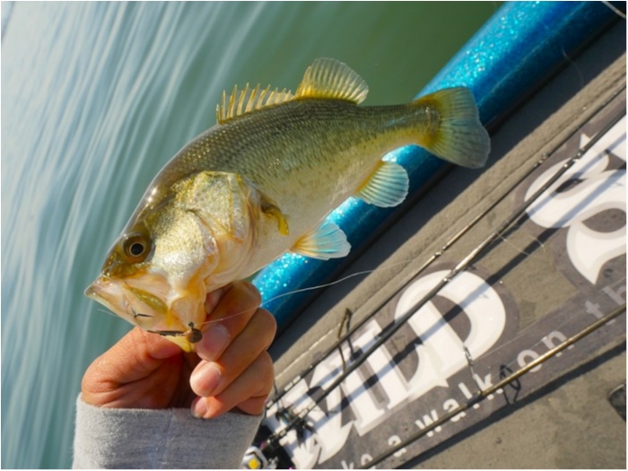 truth  ブログ写真 2019/05/11