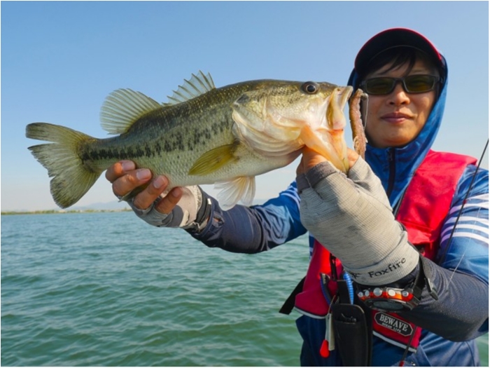 truth  ブログ写真 2019/05/11