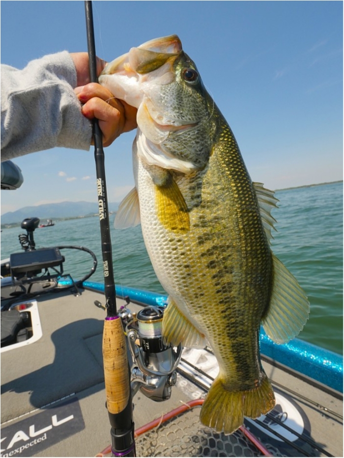 truth  ブログ写真 2019/05/11