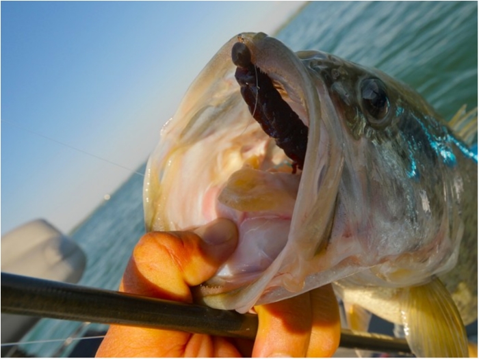 truth  ブログ写真 2019/05/11