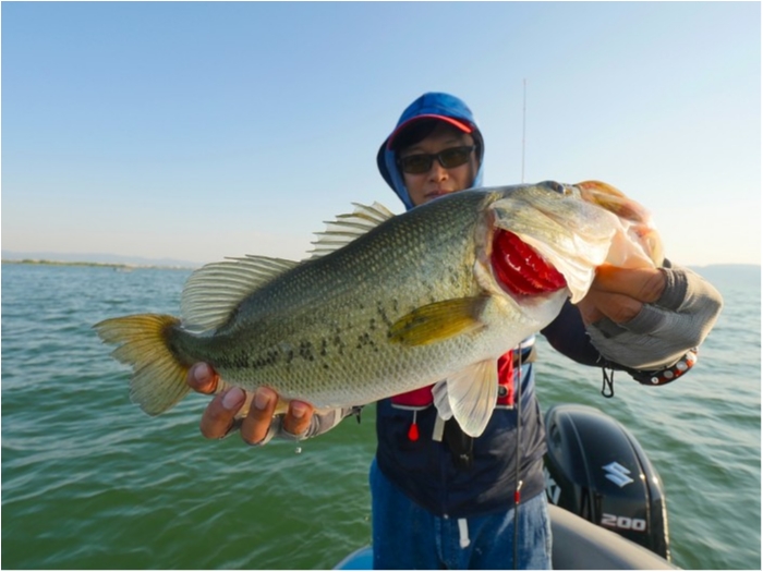 truth  ブログ写真 2019/05/11