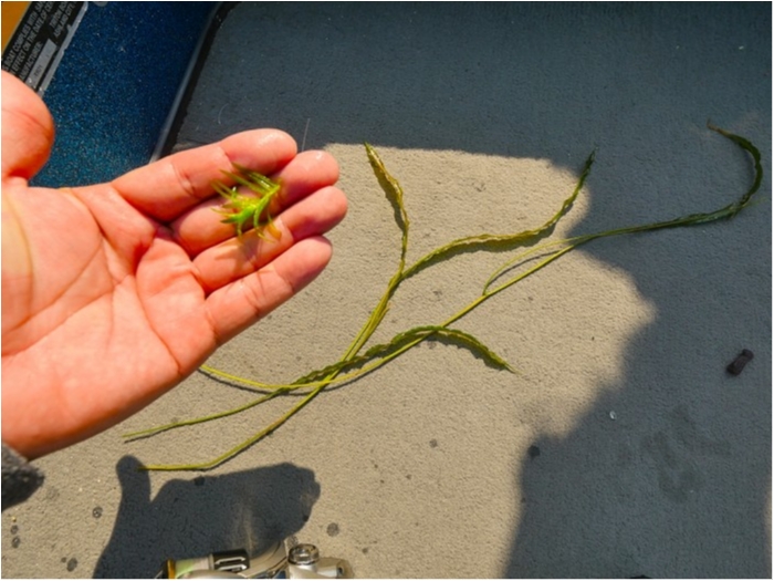 truth  ブログ写真 2019/05/13