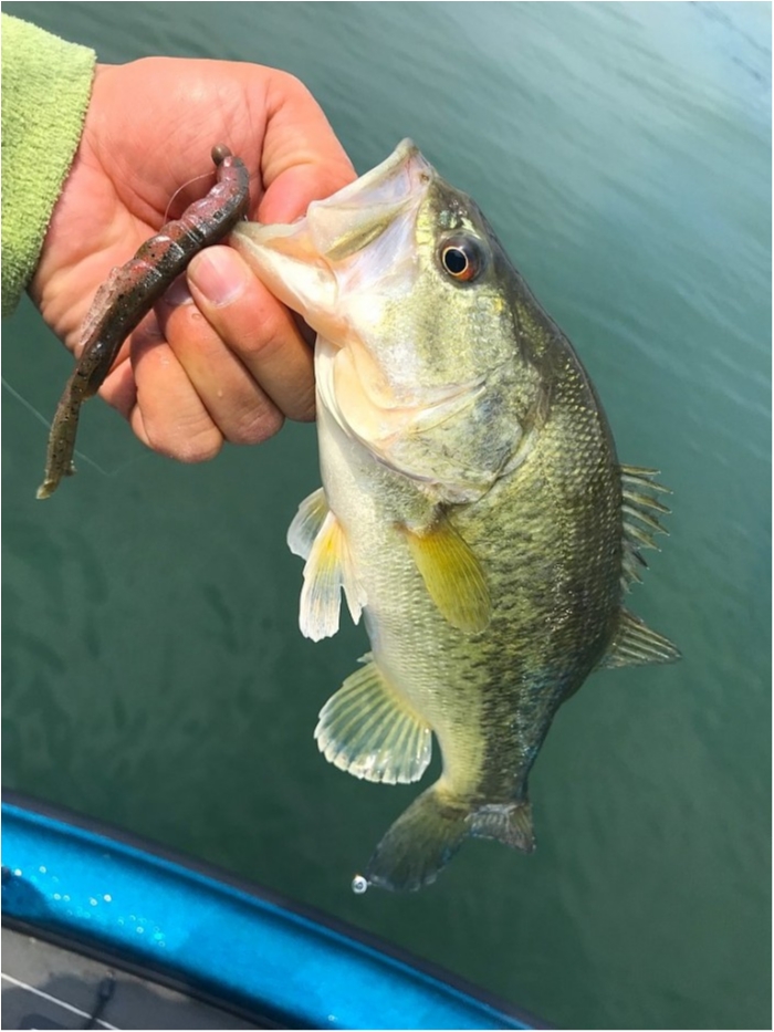 truth ブログ写真 2019/05/14