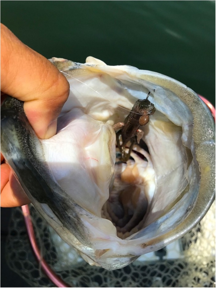 truth ブログ写真 2019/05/14