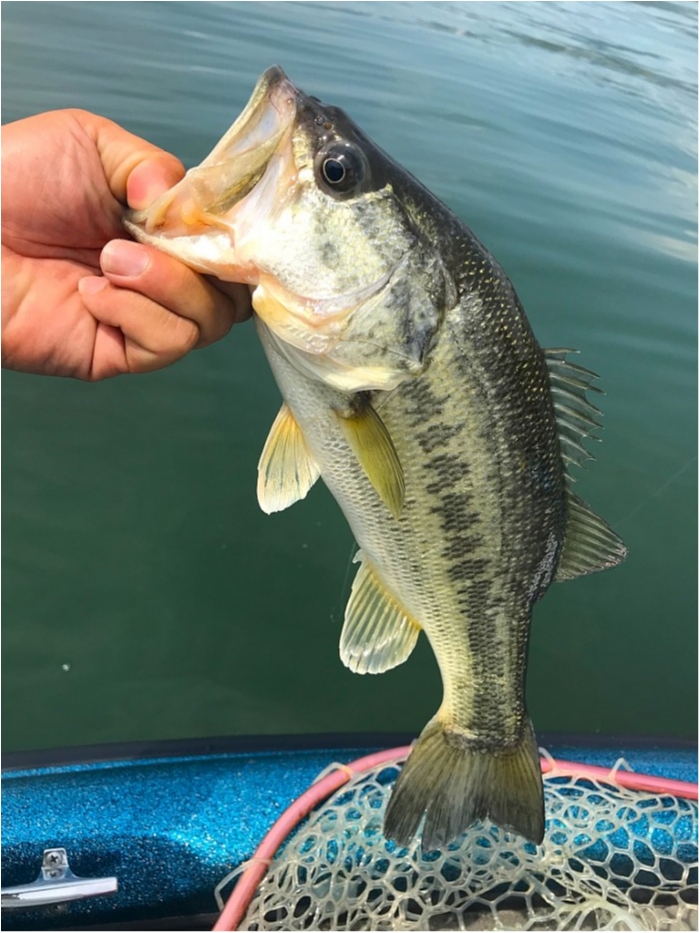 truth ブログ写真 2019/05/14