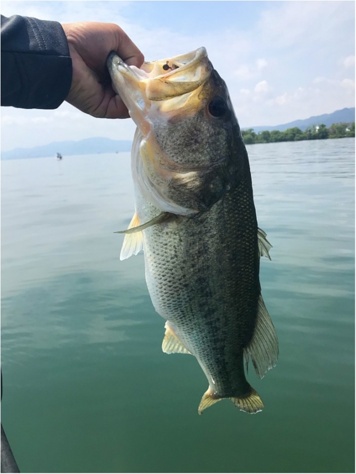 truth ブログ写真 2019/05/14