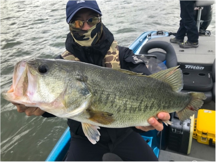 truth ブログ写真 2019/05/14