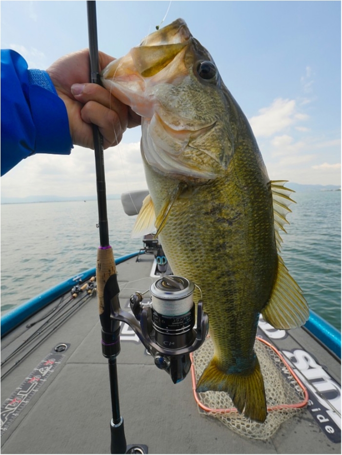 truth ブログ写真 2019/05/15