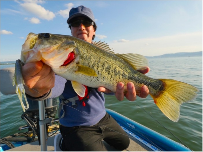 truth ブログ写真 2019/05/15