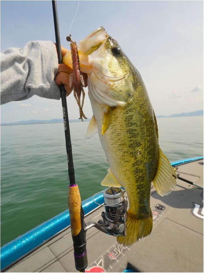 truth ブログ写真 2019/05/16