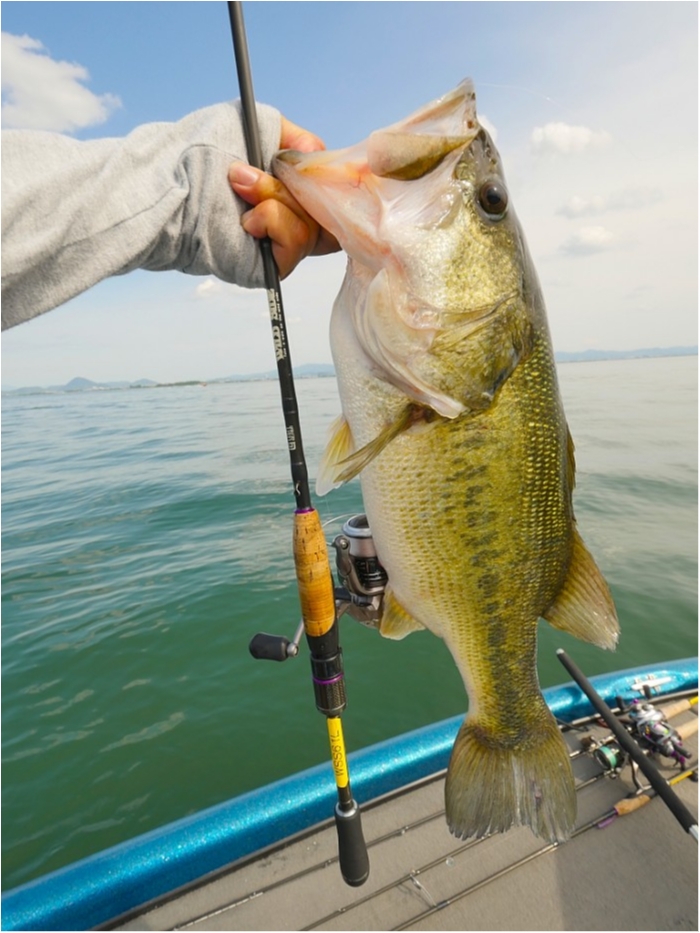 truth ブログ写真 2019/05/16