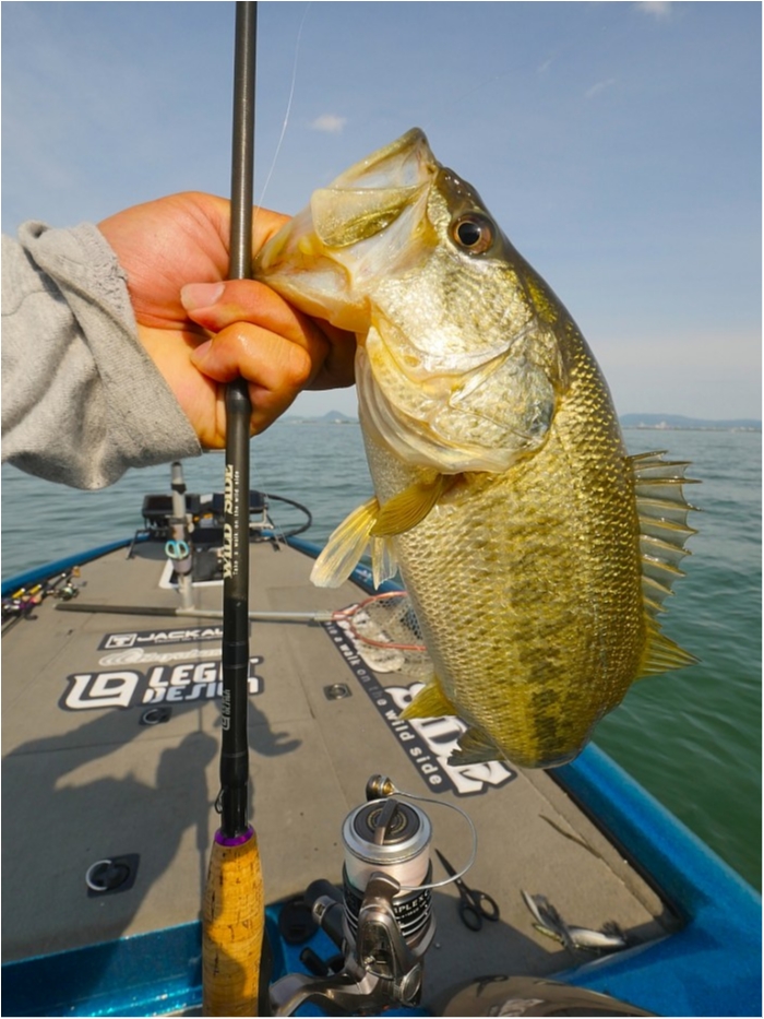 truth ブログ写真 2019/05/16