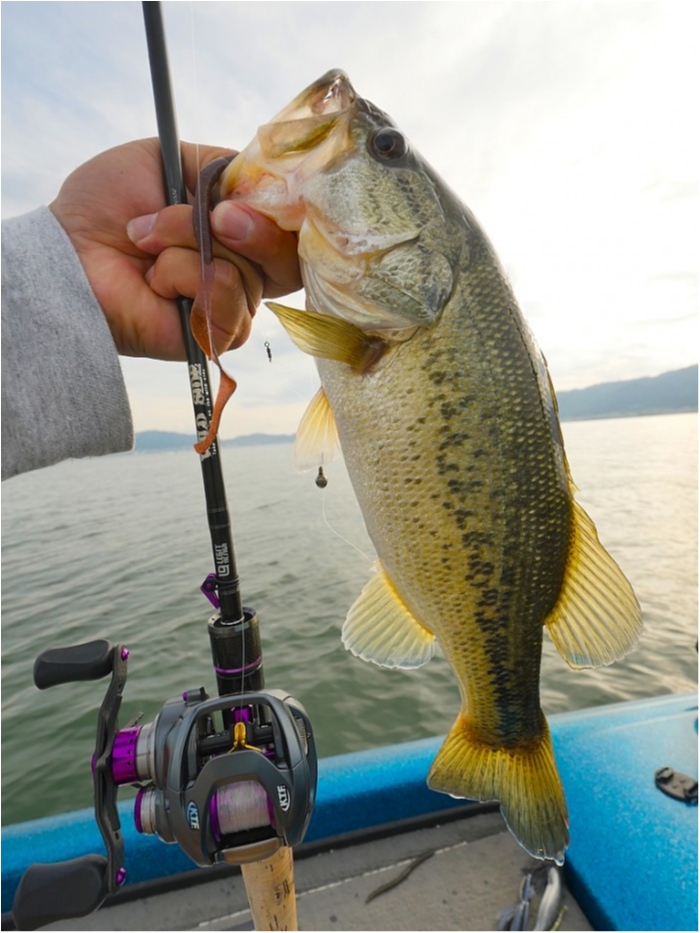 truth ブログ写真 2019/05/16