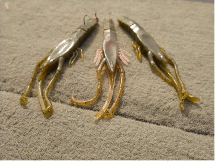 truth ブログ写真 2019/05/16