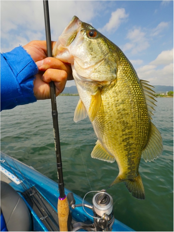 truth  ブログ写真 2019/05/17