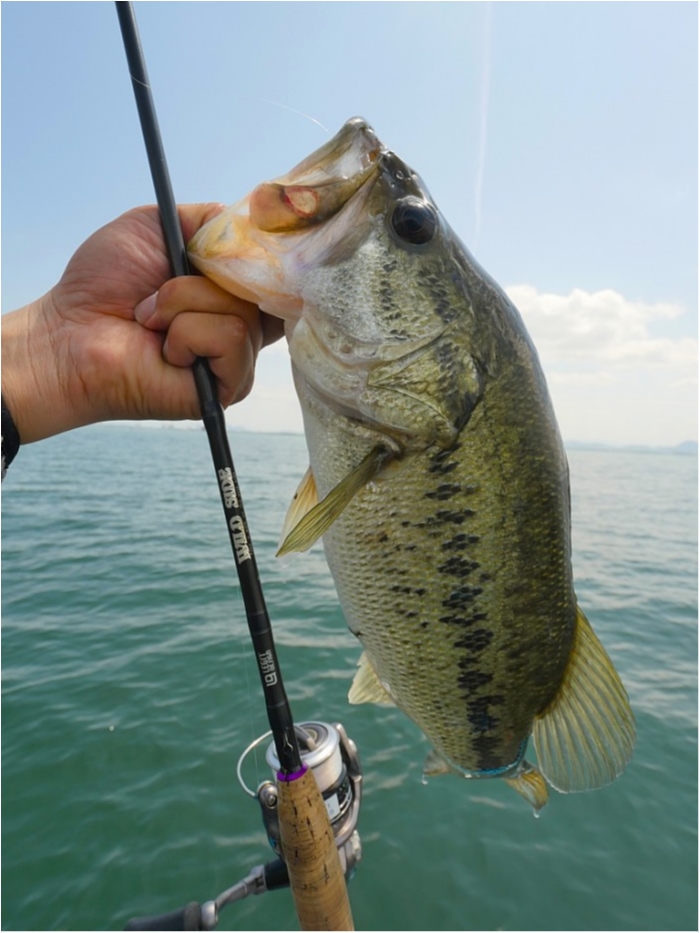 truth  ブログ写真 2019/05/17