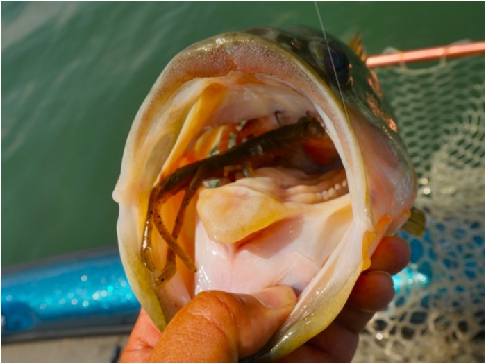 truth  ブログ写真 2019/05/17